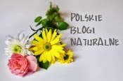 polskie blogi naturalne