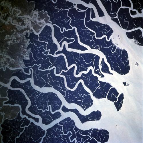 The peat that is found on the river Ganges delta is used as fertiliser and fuel by the residents. The water from this river is also used to cleanse places or objects.