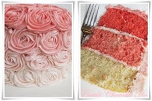 Ombre Rose Cake