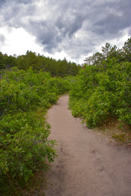 Colorado Lifestyle Spruce Mountain Loop