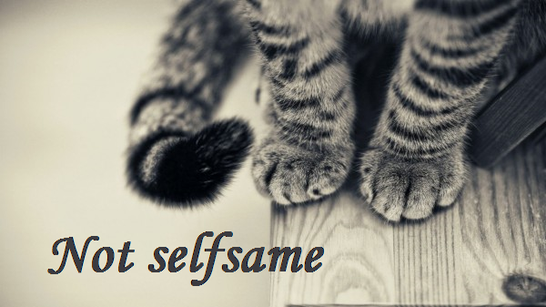 Not selfsame