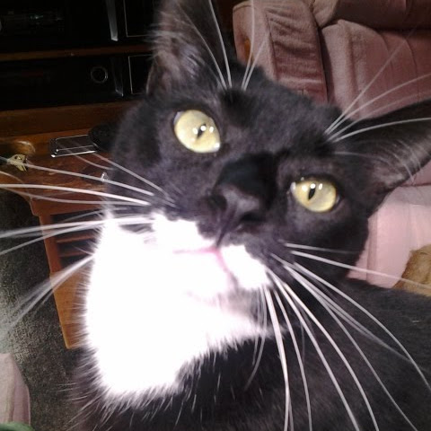 Tadpole Entered Into 2013 Calendar Contest