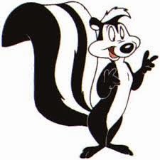 Zorrillo confundido Chistes de animales