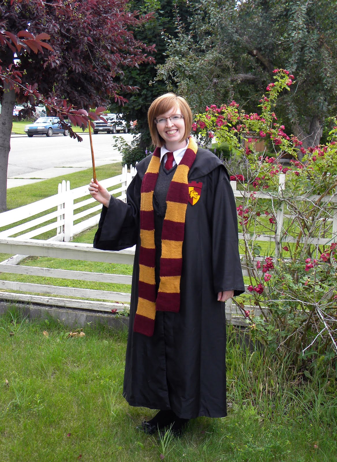 costume harry potter party