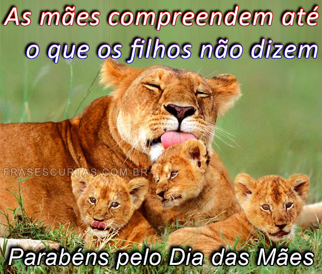 frases para o dia das mães
