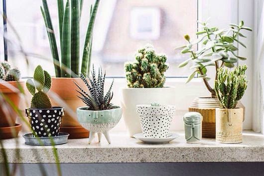 The nordic mood: green living // hvilke planter?
