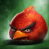 Realistic Angry Birds Illustrations by Sam Spratt