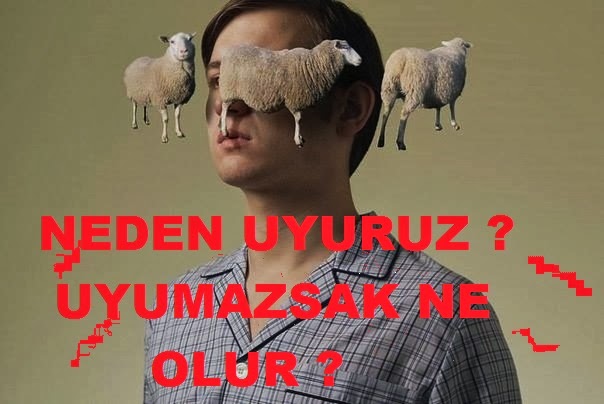 Surekli Yorgun Hissetmenizin 10 Nedeni Mahmure