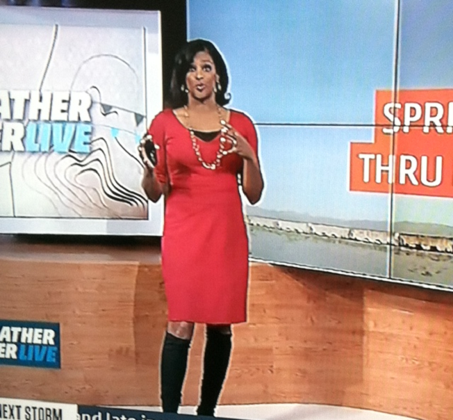 THE APPRECIATION OF BOOTED NEWS WOMEN BLOG vivian brown