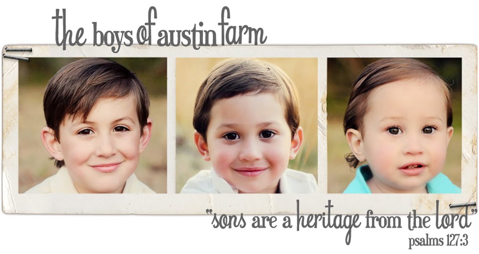 The Boys of Austin Farm