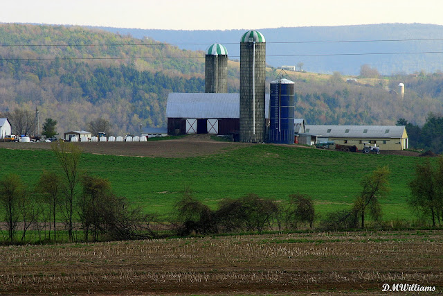 Mt. Pisgah farm, Bradford County, PA