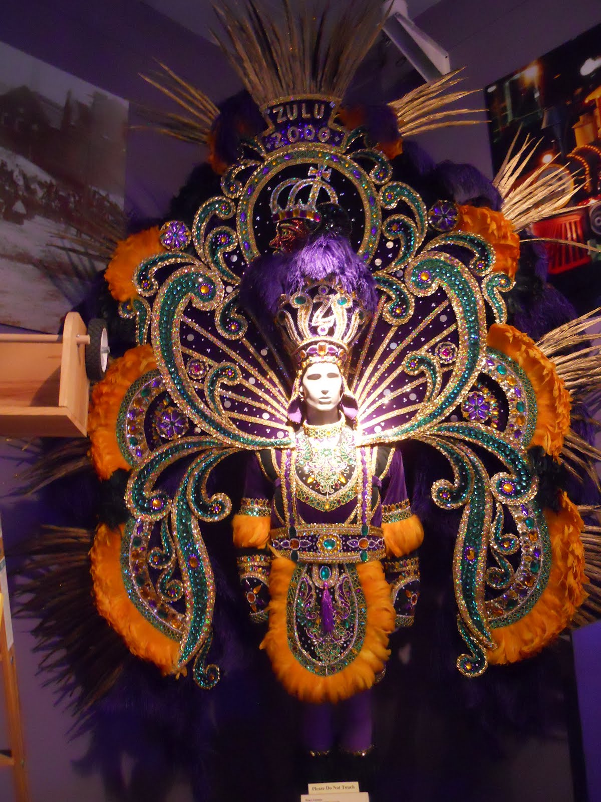 marti gras costume
