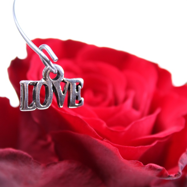 love my live valentine single rose pictures photos and hd wallpapers