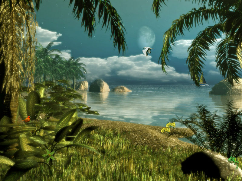 Wallpapers Download: Animated Latest Wallpapers 2012 For Desktop