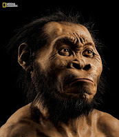 Homo naledi - reconstituição