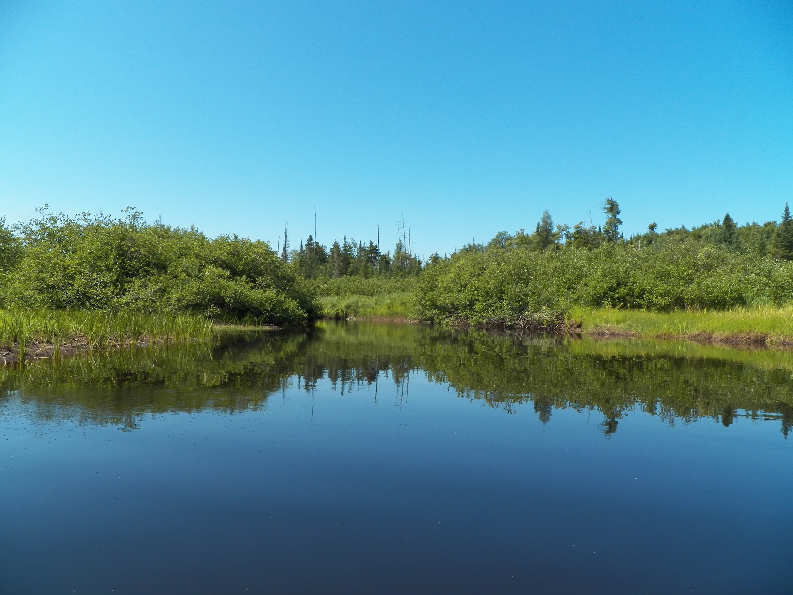 Quiet Kayaking in New York State Oswegatchie River near Star Lake