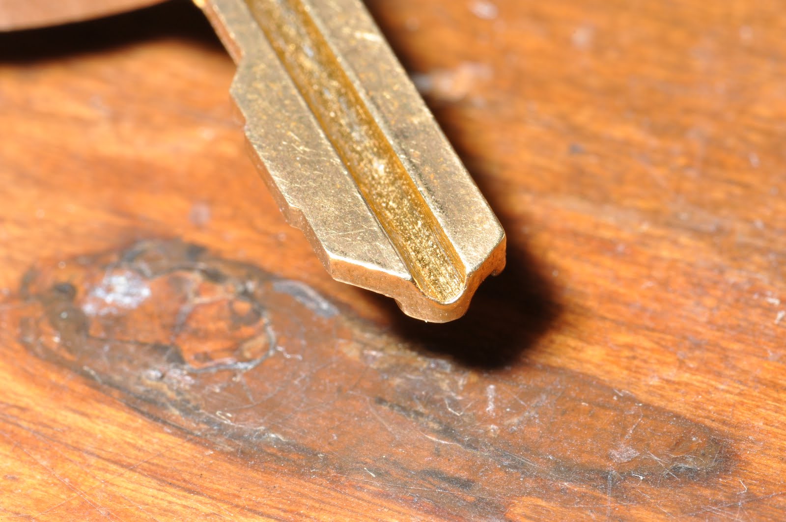 200 Birds Macro Flash a Homemade Diffuser