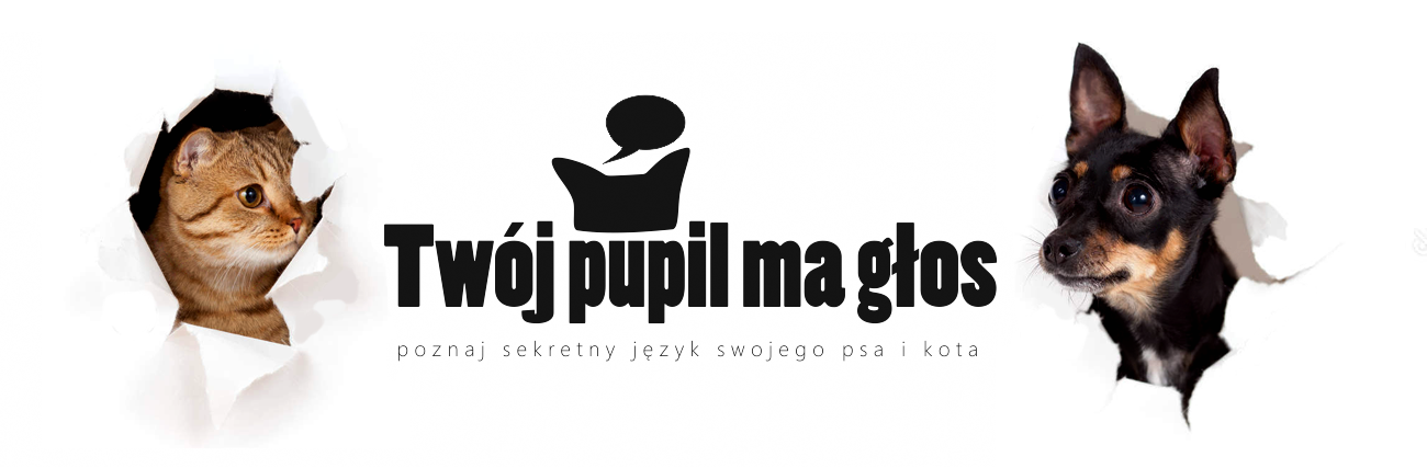 Poznaj sekretny język psów i kotów