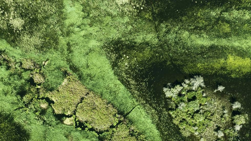23. Okavango, Botswarna - 50 Stunning Aerials That Will Make You See the World in New Ways (PHOTOS) 23. Okavango, Botswarna - 50 Stunning Aerials That Will Make You See the World in New Ways (PHOTOS)