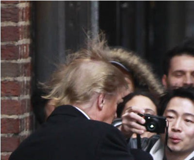 trump hair. Special Donald Trump HAIR Post