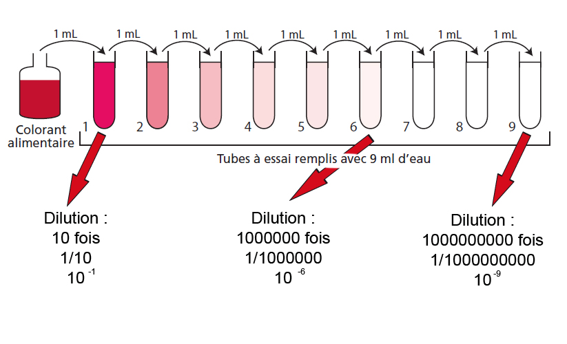 La Rotonde des enfants ! La chimie a bonne Mine