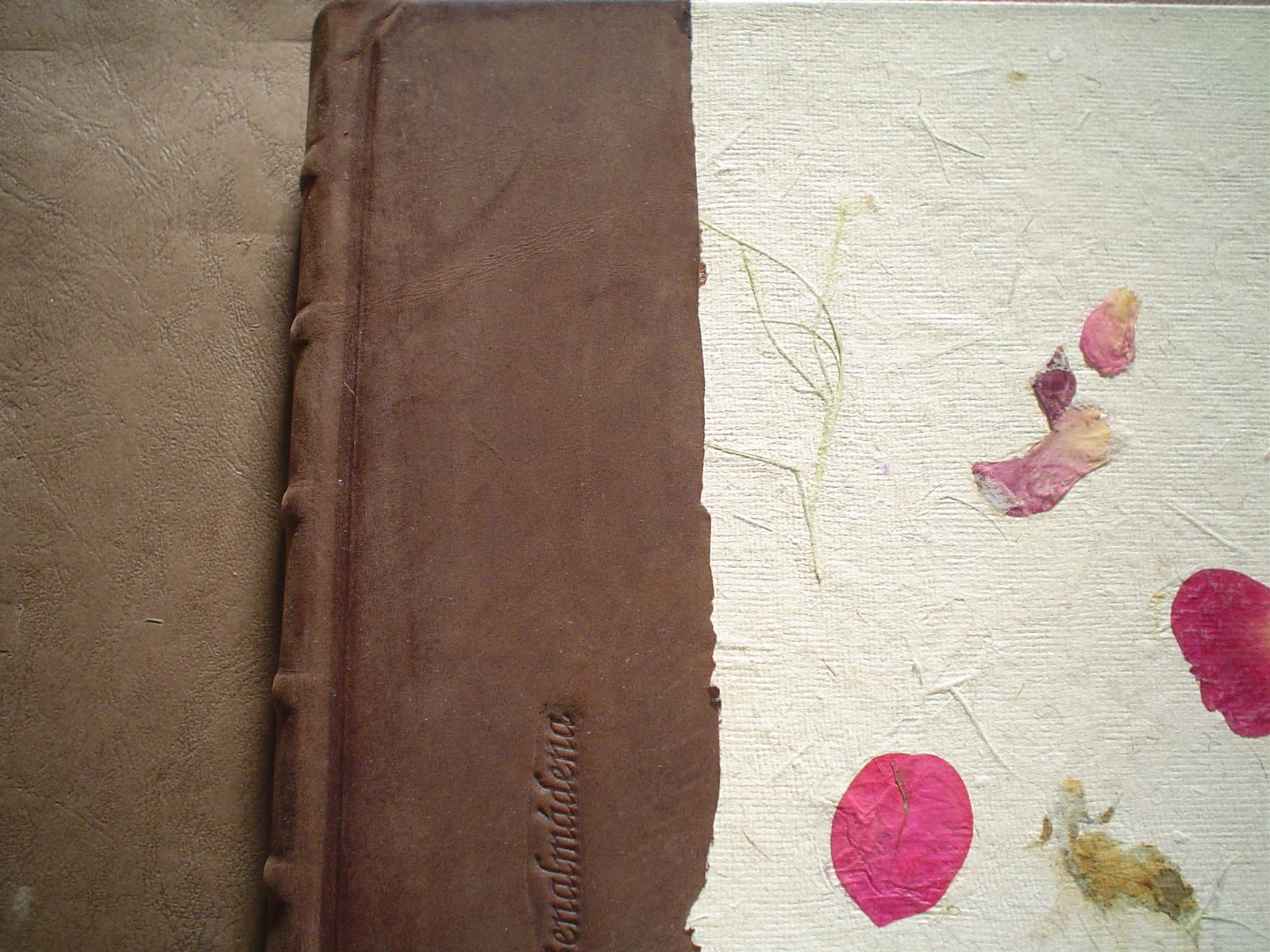 Encuadernación Casa del Artesano: CUADERNO DE CAMPO