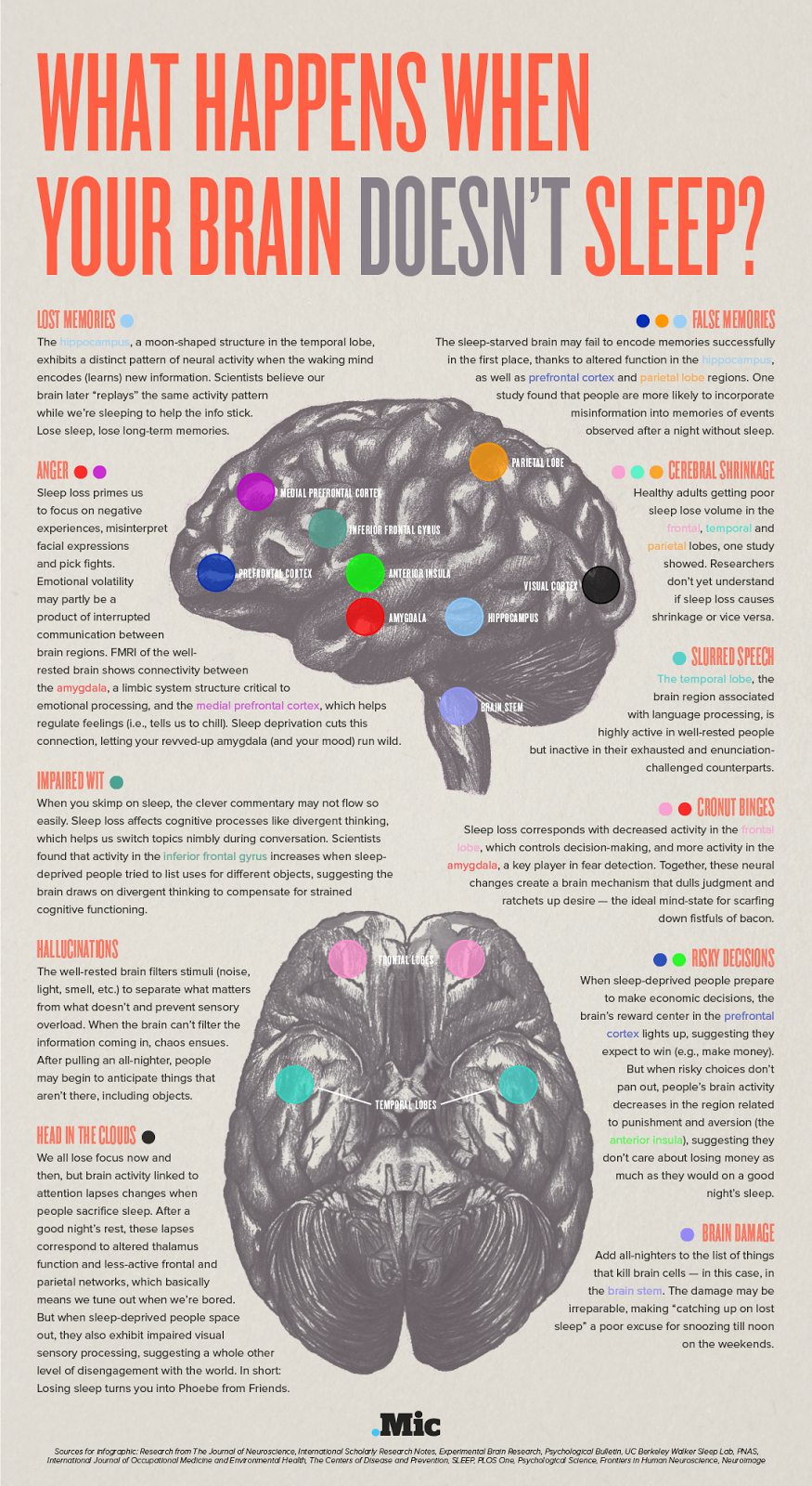 narcolepsy and cataplexy brain narcolepsy and cataplexy brain