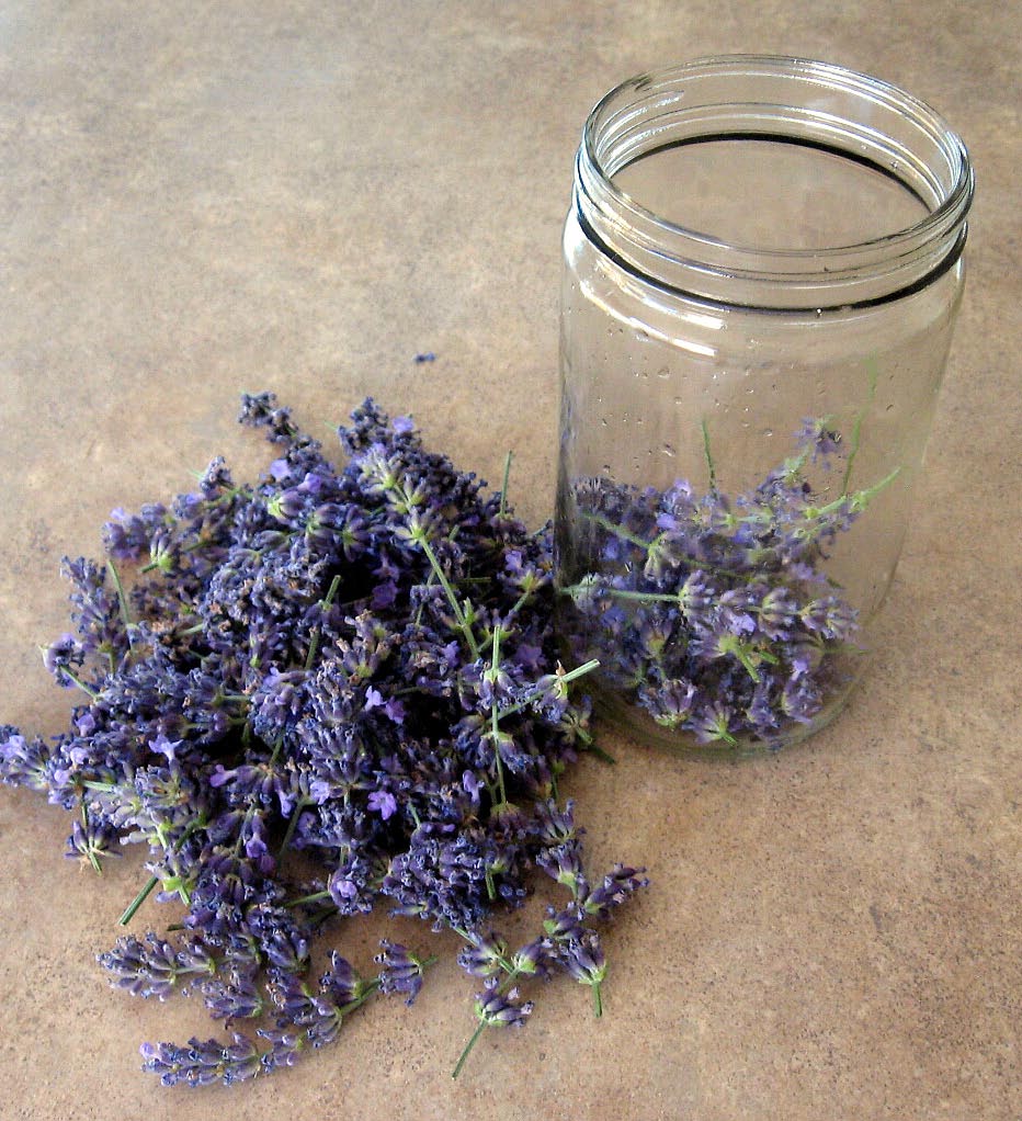 Lavender Extract
