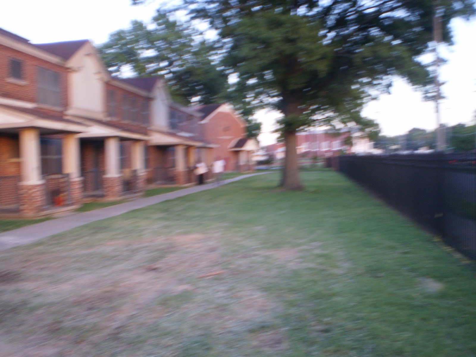 CarFree Memphis Memphis Public Housing A Rotting Tree In The Foote