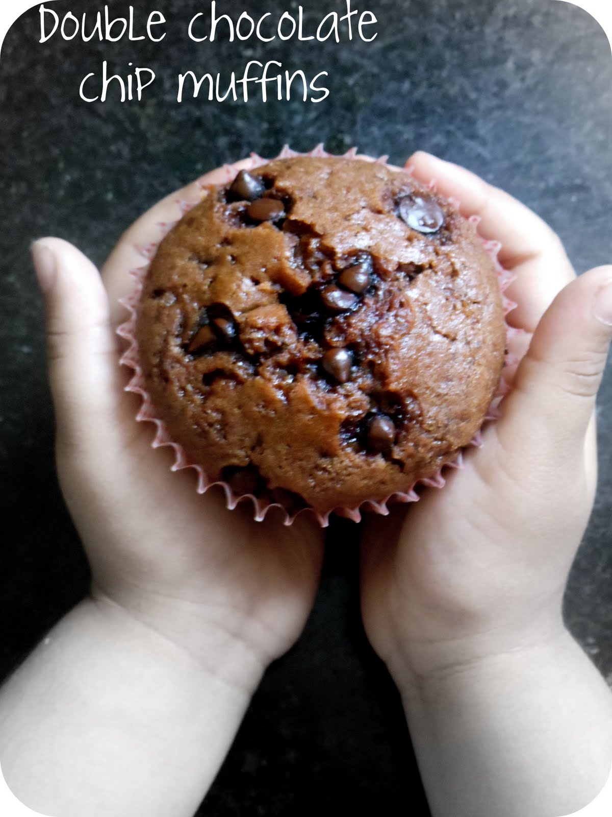 Cherie's Stolen Recipes Nigella's Double Chocolate Chip Muffins