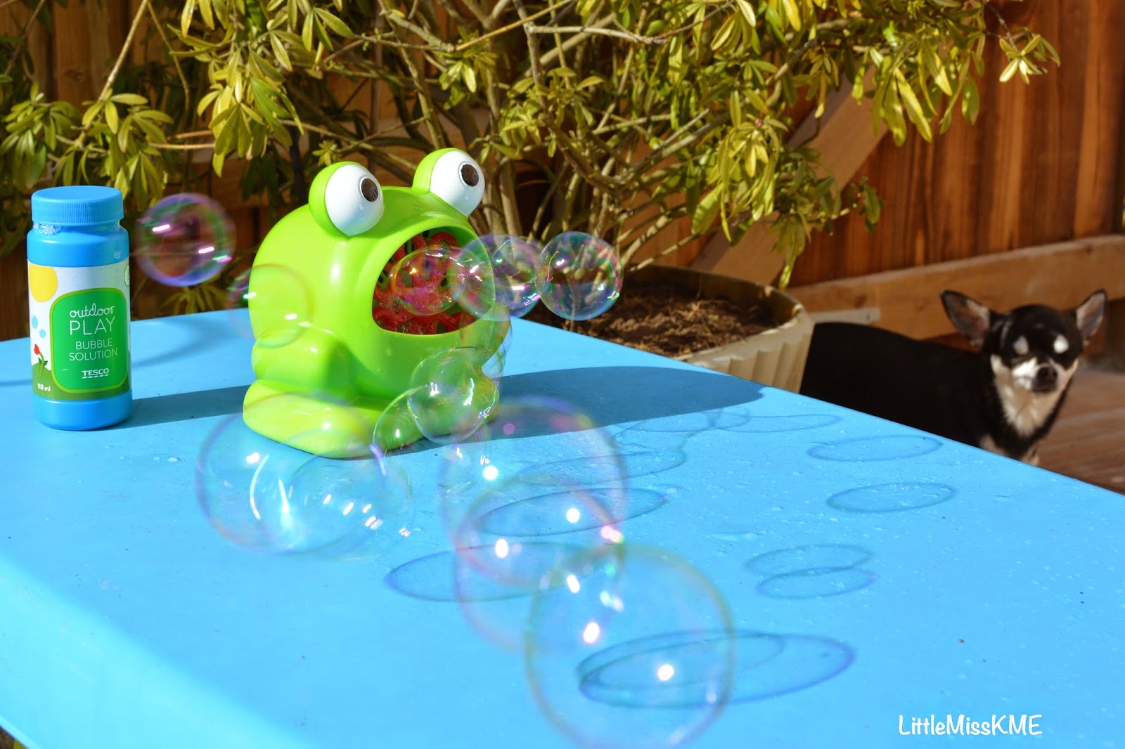Tesco Mini Frog Bubble Machine KIZIWOO