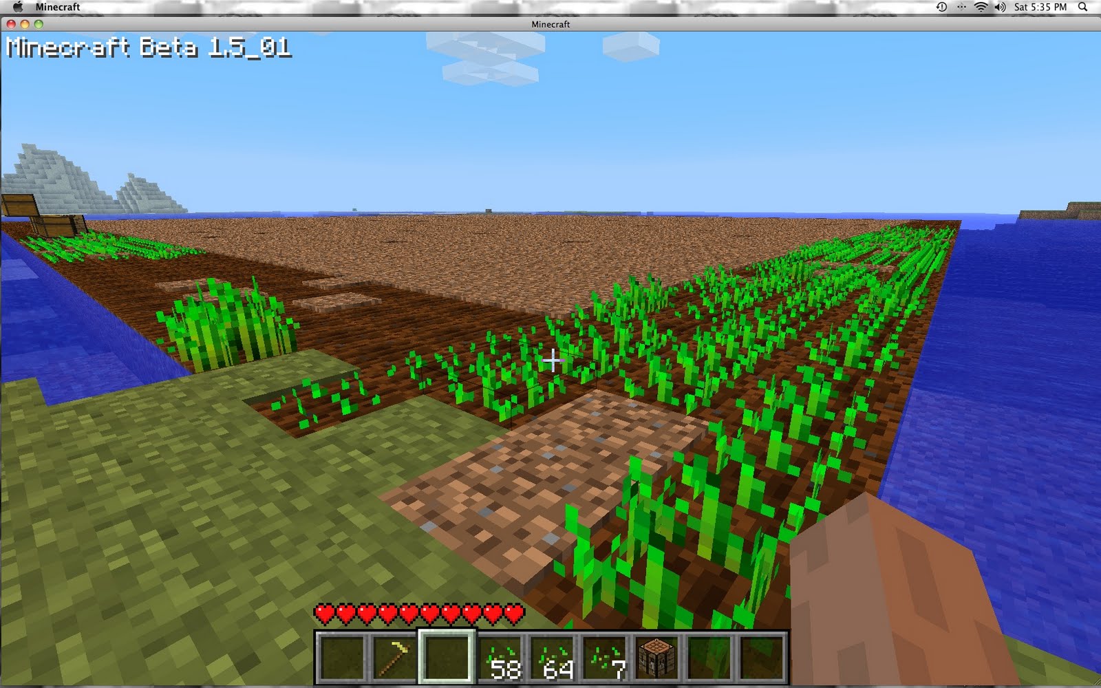 Minecraft Finished Wheat