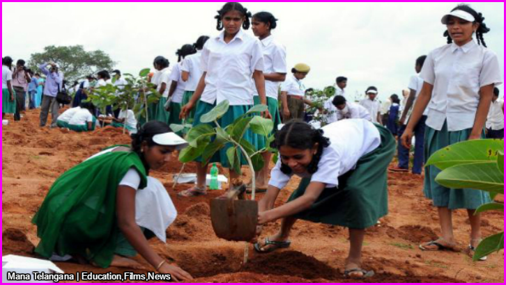 What is the importance of haritha haram picture