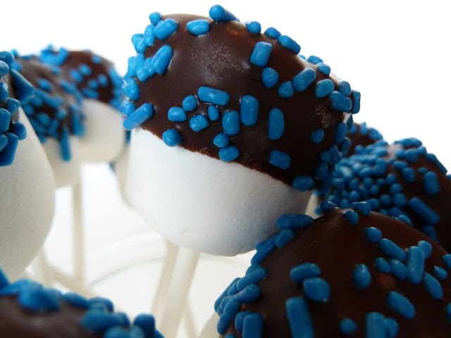 Marshmallows Chocolate-Dipped Raspberry Lollipops 19