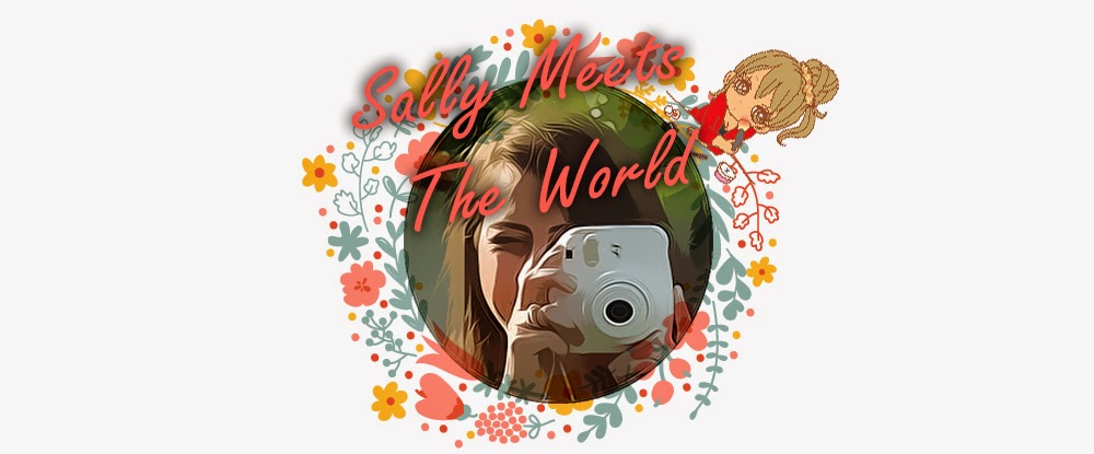 Sally Meets The World