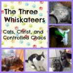 The Three Whiskateers