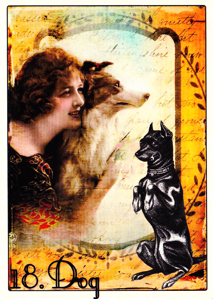 Melissa+Lenormand+Dog.jpg