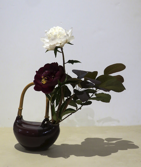 Elephant S Eye June Flowers In Red And Yellow