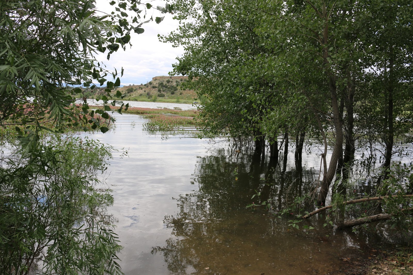 The Lee Van Cleef Blog Location Brush Hollow Reservoir
