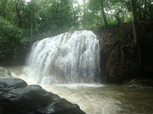 Waterfall in Lake Izabel