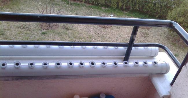 ziraat caglar balkonda cilek yetistirme