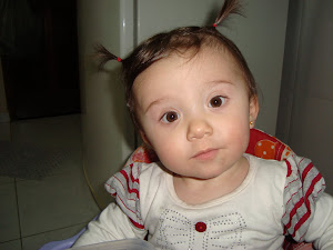 11 Meses