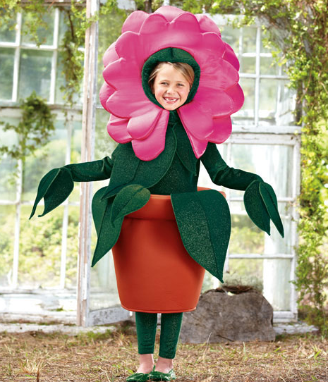 Kandeeland: Oh MY Flower Kids and Gnomes....