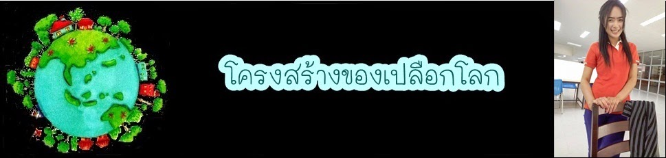 โครงสร้างของเปือกโลก