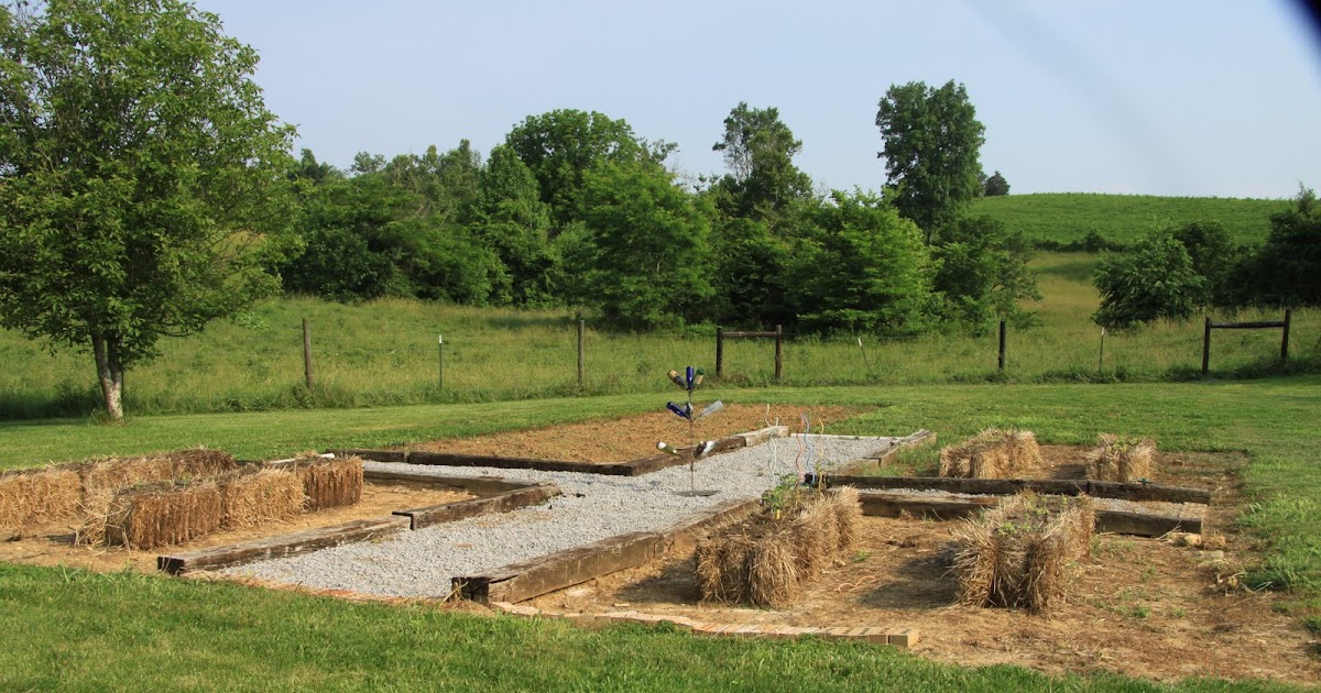 It's a Small Town Life!: Straw Bale Gardening Update