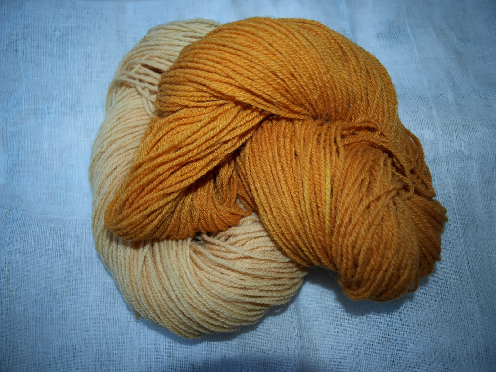 RÃ©sultat de recherche d'images pour "teinture Ã  loignon"