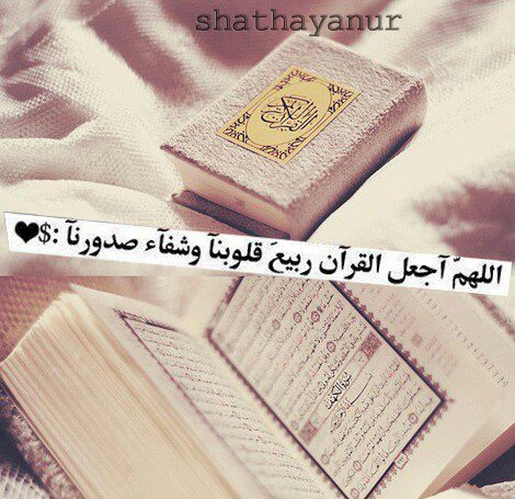 نقره لعرض الصورة في صفحة مستقلة