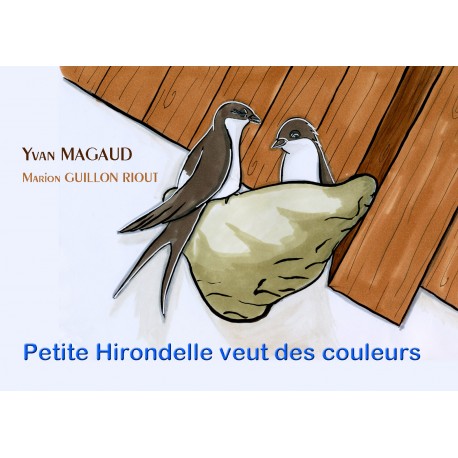 Petite hirondelle veut des couleurs