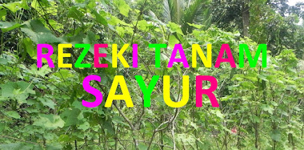 Rezeki Tanam Sayur