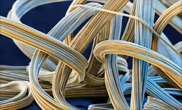 Now You Know Assignment on Spandex Fiber chain polyglycol combined with a short di Now You Know Assignment on Spandex Fiber